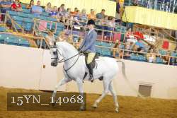 15YN_14068 thumbnail