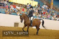 15YN_14070 thumbnail