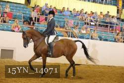 15YN_14071 thumbnail