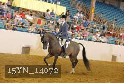 15YN_14072 thumbnail