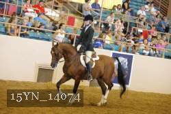 15YN_14074 thumbnail