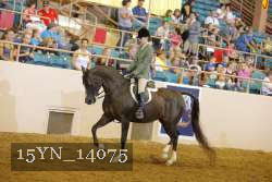 15YN_14075 thumbnail