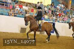 15YN_14077 thumbnail