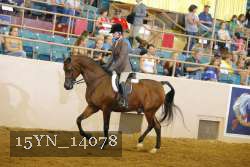 15YN_14078 thumbnail