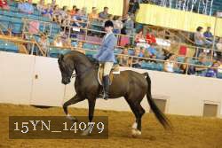 15YN_14079 thumbnail