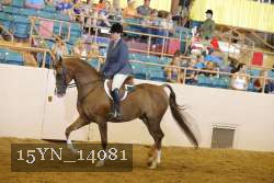 15YN_14081 thumbnail