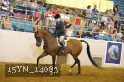 15YN_14083 thumbnail