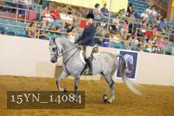 15YN_14084 thumbnail