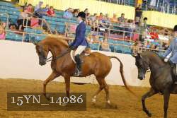 15YN_14086 thumbnail