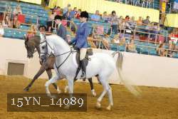 15YN_14089 thumbnail