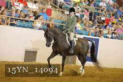 15YN_14094 thumbnail