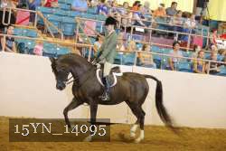 15YN_14095 thumbnail