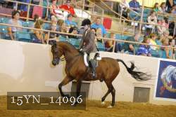 15YN_14096 thumbnail