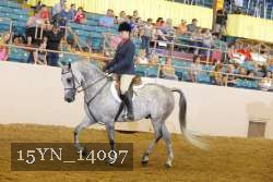 15YN_14097 thumbnail