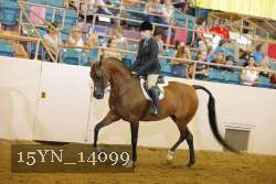 15YN_14099 thumbnail