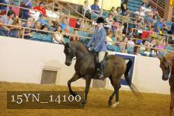 15YN_14100 thumbnail