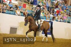 15YN_14102 thumbnail