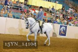 15YN_14104 thumbnail