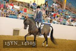 15YN_14105 thumbnail