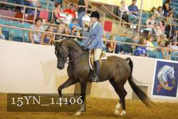 15YN_14106 thumbnail