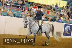 15YN_14107 thumbnail
