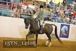 15YN_14108 thumbnail