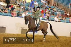 15YN_14109 thumbnail