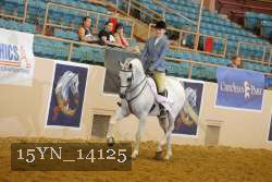 15YN_14125 thumbnail