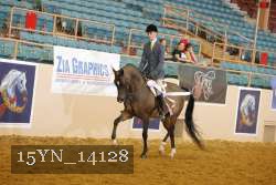 15YN_14128 thumbnail
