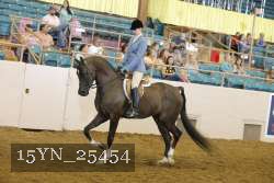 15YN_25454 thumbnail