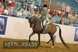 15YN_25455 thumbnail