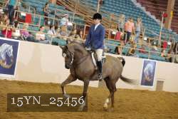 15YN_25456 thumbnail