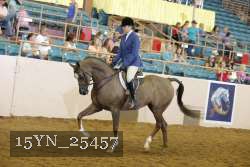 15YN_25457 thumbnail