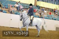 15YN_25460 thumbnail