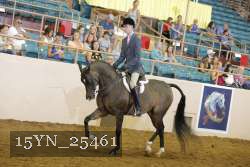 15YN_25461 thumbnail