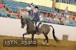 15YN_25462 thumbnail