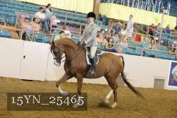 15YN_25465 thumbnail