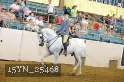 15YN_25468 thumbnail