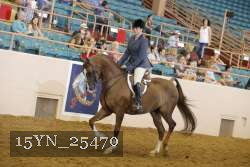 15YN_25470 thumbnail