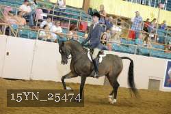 15YN_25474 thumbnail