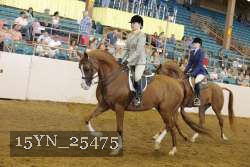 15YN_25475 thumbnail