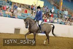 15YN_25476 thumbnail