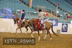 15YN_25905 thumbnail