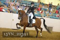 15YN_22391 thumbnail