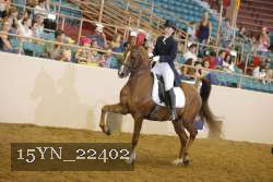 15YN_22402 thumbnail