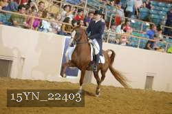 15YN_22403 thumbnail