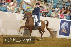 15YN_22404 thumbnail