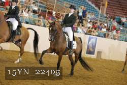 15YN_22405 thumbnail