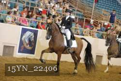 15YN_22406 thumbnail