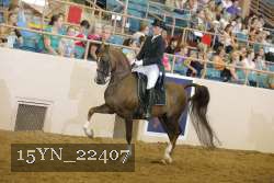 15YN_22407 thumbnail